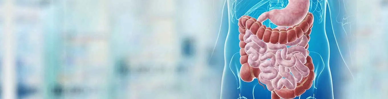 Department of Gastrology