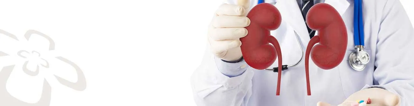 Department of Urology